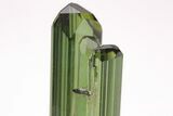 Gemmy, Sharply Terminated Green Tourmaline Crystal - Brazil #206254-5
